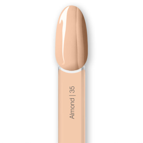 almond 35 - immagine 2
